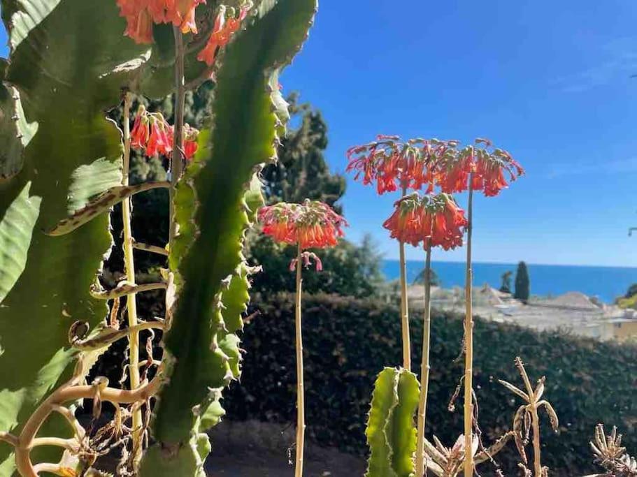 Nervi Residenziale A Due Passi Dal Mare Apartment เจนัว ภายนอก รูปภาพ